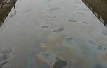 Петербургские реки покрылись нефтяной пленкой