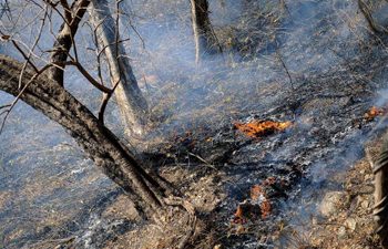 Готов ли Северо-Запад России к сезону лесных пожаров 2010 года?