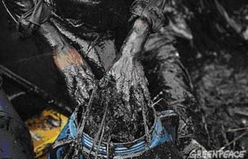 Нефть из Жёлтого моря в Китае вылавливают рыбаки вручную – Гринпис. Фоторепортаж