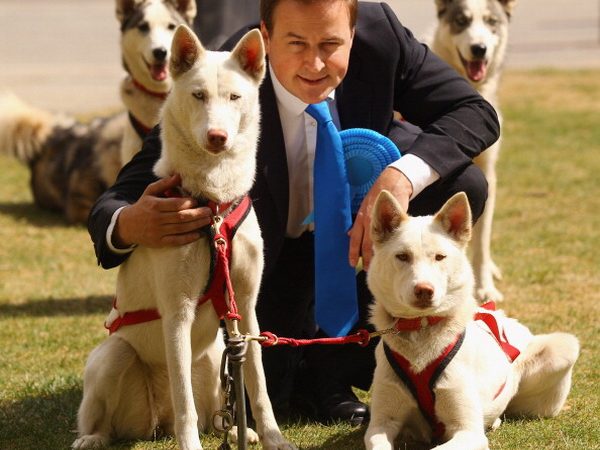 Фоторепортаж  о фотосессии «Гринпис»  премьер-министра Великобритании Дэвида Кэмерона