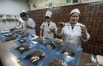 Гринпис: китайские травяные лекарства токсичны
