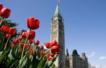 Канадские парламентарии создали организацию «Парламентские друзья Фалуньгун»