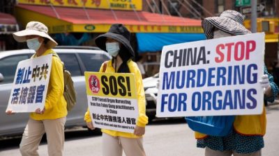 Медики США уходят от вопроса об извлечении органов в Китае