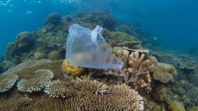 Исследование показывает: пластиковый поток неуклонно растёт и «часто сбрасывается прямо в море»