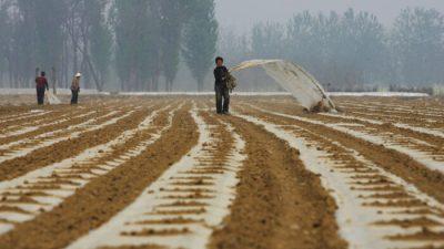 Спасёт ли Китай продовольственный шёлковый путь?