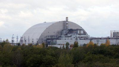 Российские военные раскопали радиоактивные могильники в Чернобыльской зоне отчуждения