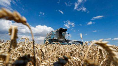 Из-за войны в Украине цены на продовольствие растут во всём мире