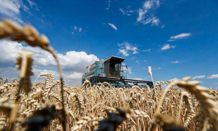 Комбайн собирает пшеницу на поле возле села Гребени в Киевской области, Украина, 17 июля 2020 года. (Valentyn Ogirenko/Reuters) | Epoch Times Media