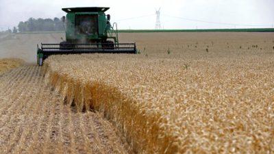 Инвесторы скупают сельскохозяйственные угодья для защиты от инфляции