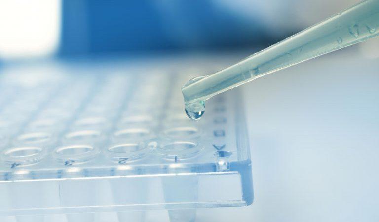 Клиники стволовых клеток и их грязные секреты