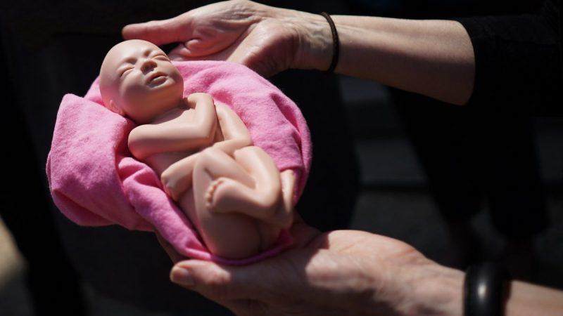 Активист с моделью ребёнка, выступающий против абортов. (Mandel Ngan/AFP/Getty Images) | Epoch Times Media