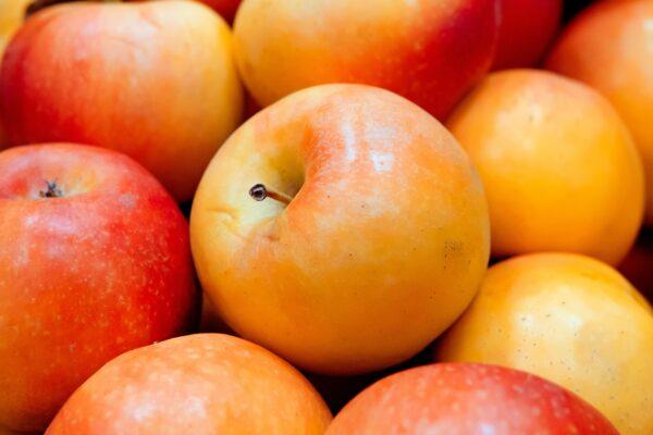 Чтобы естественным образом увеличить количество флавоноидов в своём рационе, ешьте больше яблок. Dmitry Demidov/Pexels