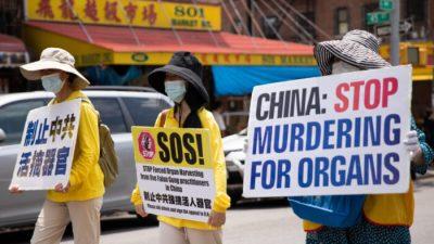 Убийство в Китае узников совести ради их органов — «инструмент геноцида»