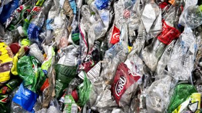 Созданный учёными фермент разлагает пластик за 24 часа