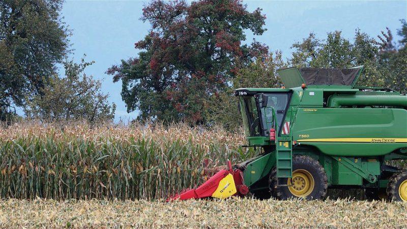Украина начала экспорт зерна через Румынию