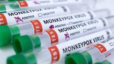 Закон обязал врачей уведомлять органы здравоохранения о случаях оспы обезьян