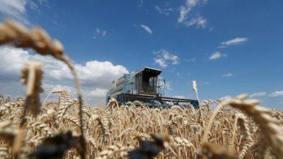 Россия перевела в рубли пошлины на экспорт пшеницы и подсолнечного масла
