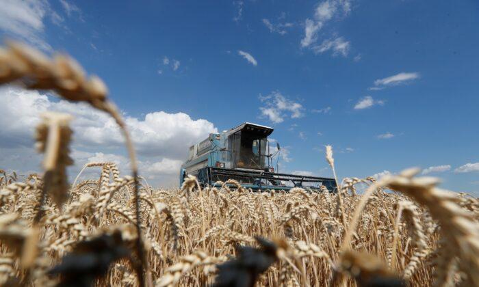 Россия перевела в рубли пошлины на экспорт пшеницы и подсолнечного масла