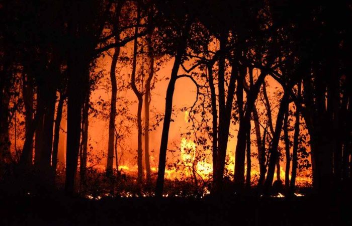 Губернатору Хабаровского края в помощи в борьбе с лесными пожарами отказано