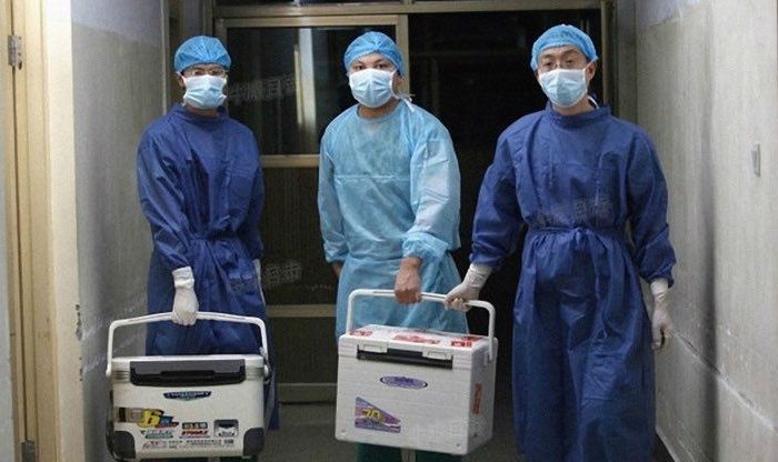 К вопросу о насильственном извлечении органов в Китае: американские институты подготовили 344 китайских трансплантолога