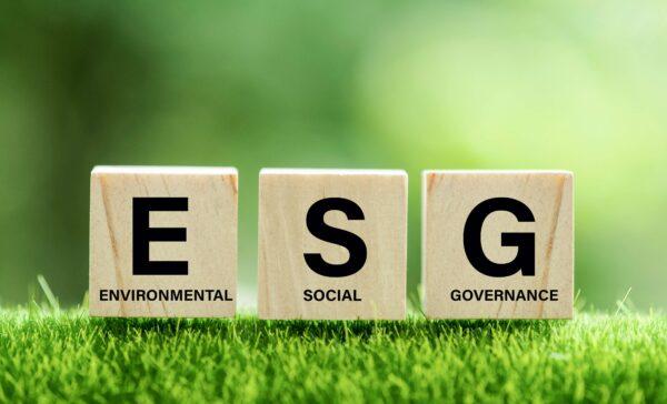 Экологические, социальные и управленческие аспекты (ESG). (Deemerwha studio/Shutterstock)