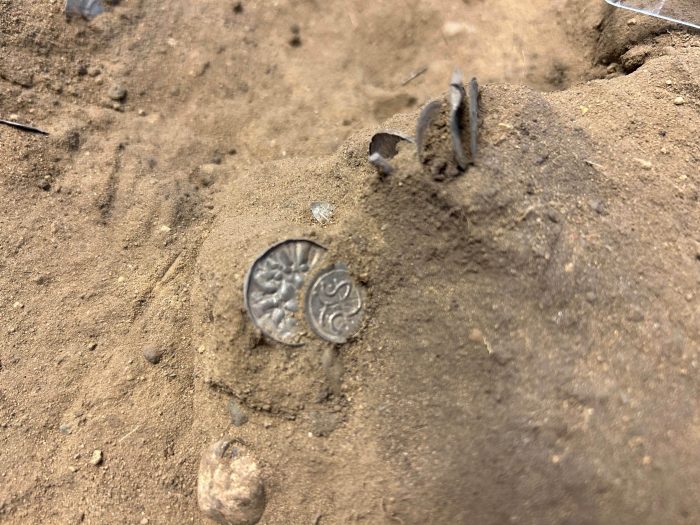 В Дании обнаружен клад монет с датской, немецкой и арабской чеканкой