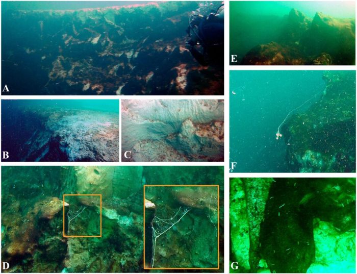 Исследование подводной воронки в Карибском море открывает прошлое Земли