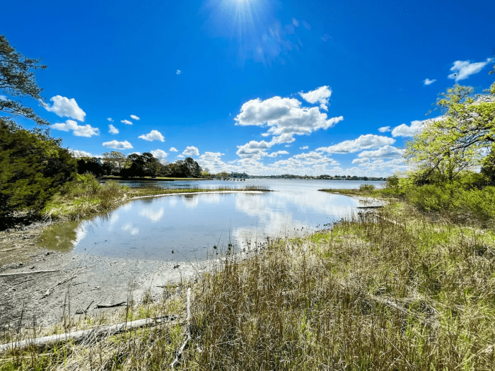 Вид на реку Лафайет, проходящую через владения Слоан, где находятся музей и сады «Эрмитаж». (Lynn Topel)