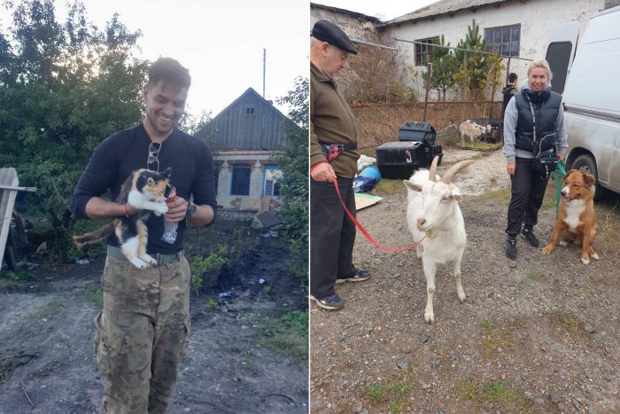 Украинские волонтёры спасают брошенных животных во время войны с риском для жизни