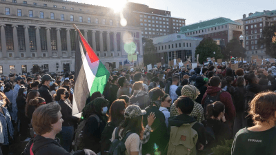 Университеты должны встать на защиту еврейских общин в США после атак ХАМАСа, считает политический эксперт